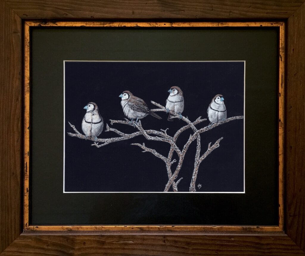 Family Tree - Finches